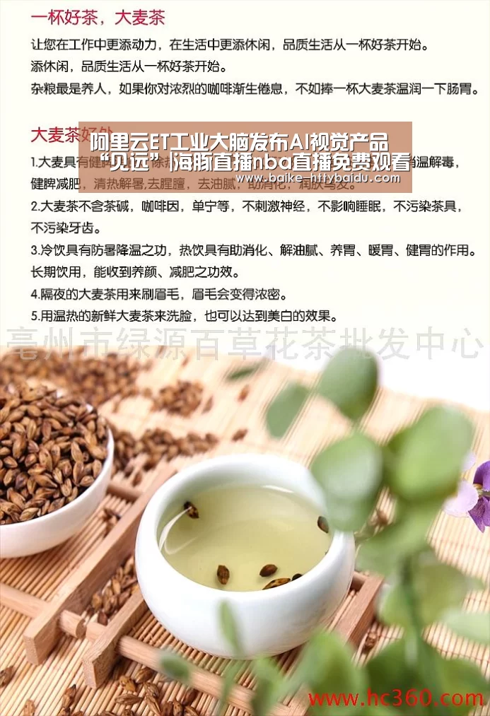 海豚直播体育