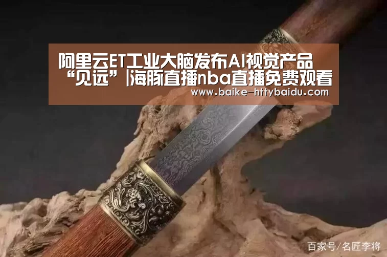 海豚直播体育