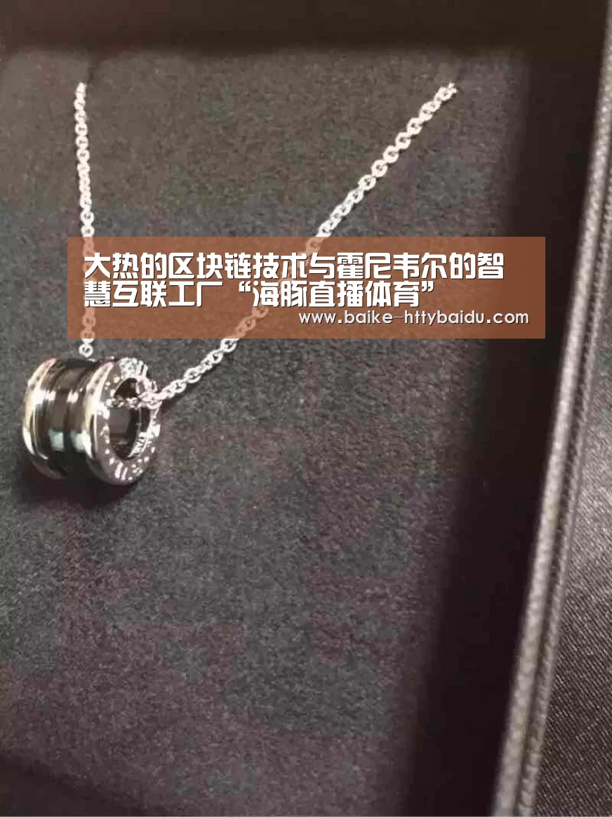 海豚直播体育